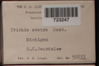Image Associated With the Occurence